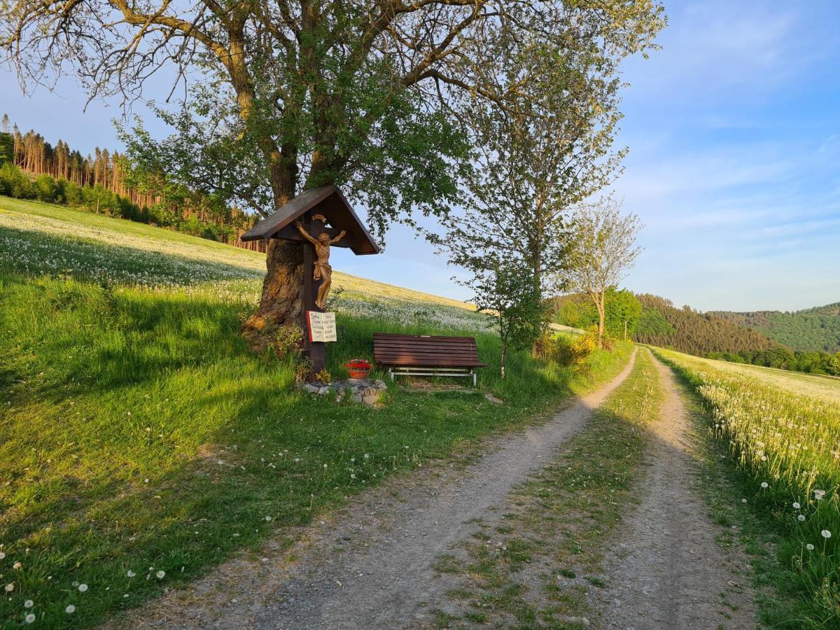 Ferienwohnung Hennemann Schmallenberg Bagian luar foto